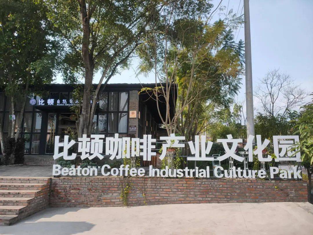 产业融合发展 推动特色产业兴旺PG电子麻将胡了2隆阳：咖啡(图2)