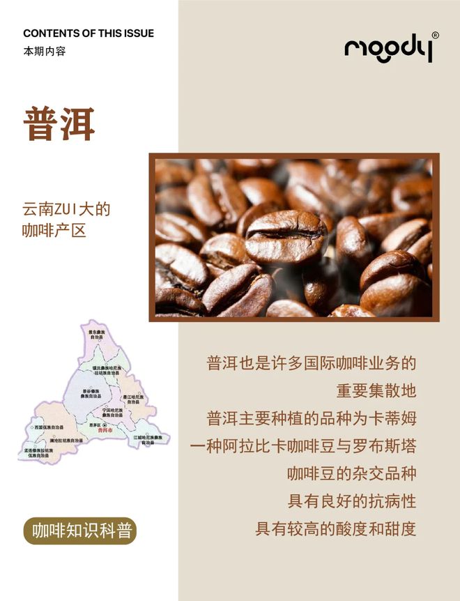 ：彩云之南的馥郁传奇麻将胡了试玩云南咖啡(图8)