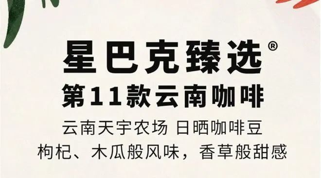 ：彩云之南的馥郁传奇麻将胡了试玩云南咖啡(图16)
